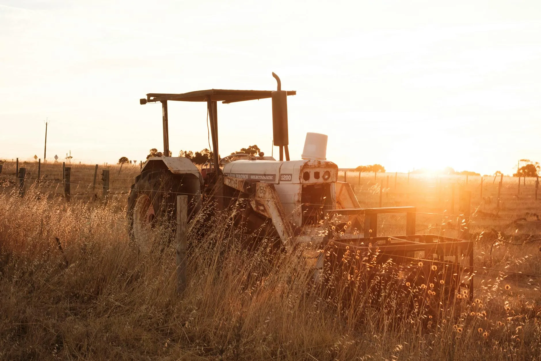 De boerderij in de Noordoostpolder bij avondlicht